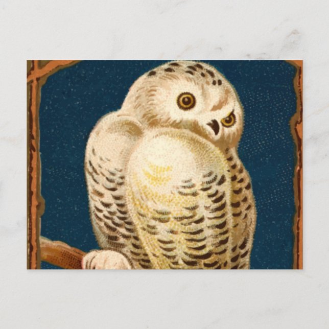 Arktisk snö Uggla-fågel - första vinterdagen Vykort (Framsida)