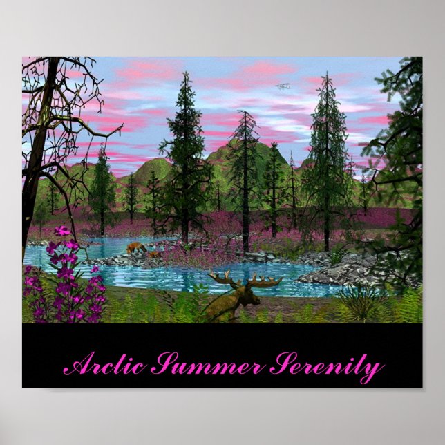 Arktisk sommarserenitet poster (Framsidan)