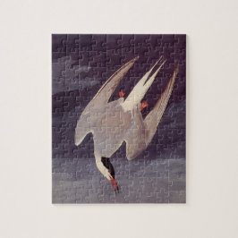 Arktisk tärna av John James Audubon, Vintage Fågla Pussel
