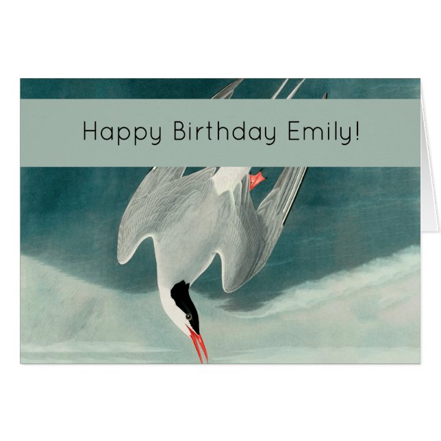Arktisk Tern Audubon Bird Wildlife-målning Hälsningskort (Framsidan Horizontal)