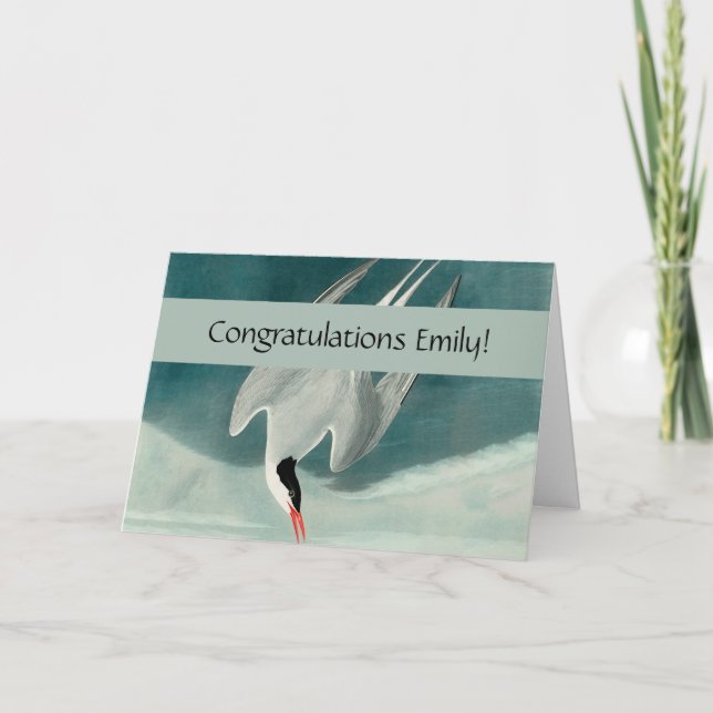 Arktisk Tern Audubon Bird Wildlife-målning Kort (Framsida)