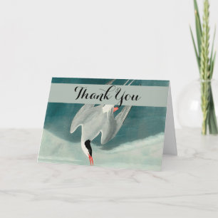 Arktisk Tern Audubon Bird Wildlife-målning Tack Kort