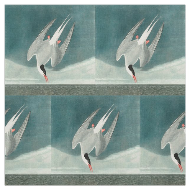 Arktisk Tern Audubon Bird Wildlife-målning Tyg (Provkarta)
