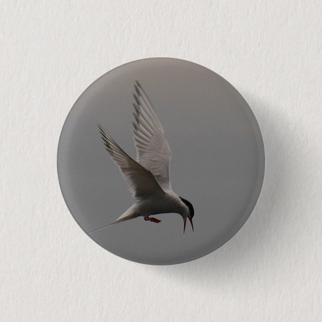 Arktisk Tern Badge Knapp (Framsida)