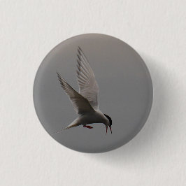 Arktisk Tern Badge Knapp
