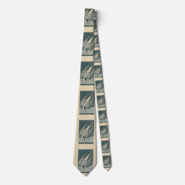 Arktisk Tern från Audubon's Birds of America Slips (Framsida)