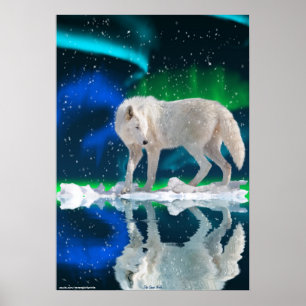 Arktisk Varg, Aurora Wildlife Art Poster
