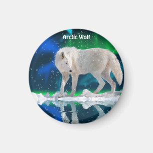 Arktisk Varg och Aurora insamling av vilda djur Magnet