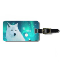 Arktisk varg och magisk natt med norra ljus