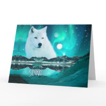 Arktisk varg och magisk natt med norrsken