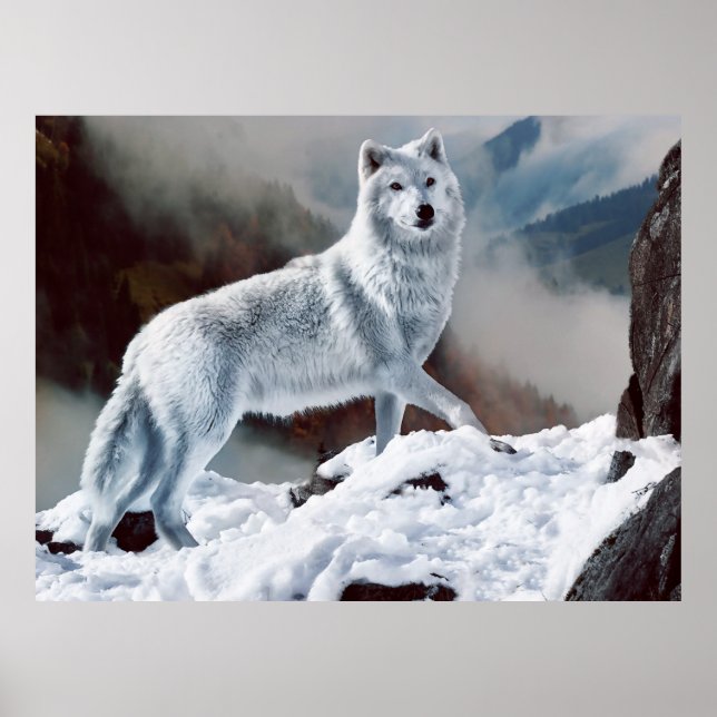 Arktisk Varg Poster (Framsidan)