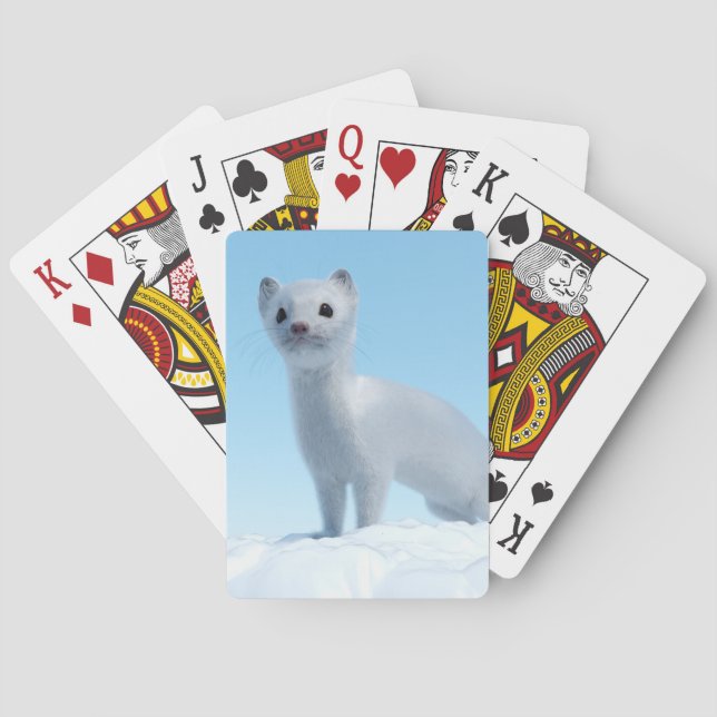 Arktisk Vessla Förtrollning Casinokort (Baksidan)