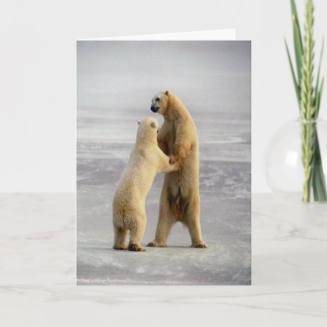 Arktisk Waltz Kort (Framsida)