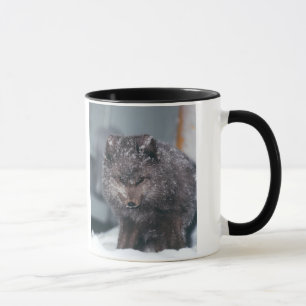 Arktiska Alaska Blue Phase Winter Fox - Designad Mugg