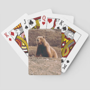 Arktiska Alaska Tundra Grizzly Sow Photo Designad Casinokort