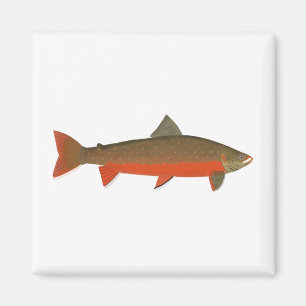 Arktiska Char Magnet