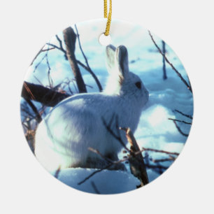 Arktiska Hare i Snö Julgransprydnad Keramik