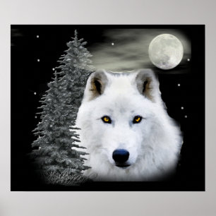 Arktiska snö-vargen poster
