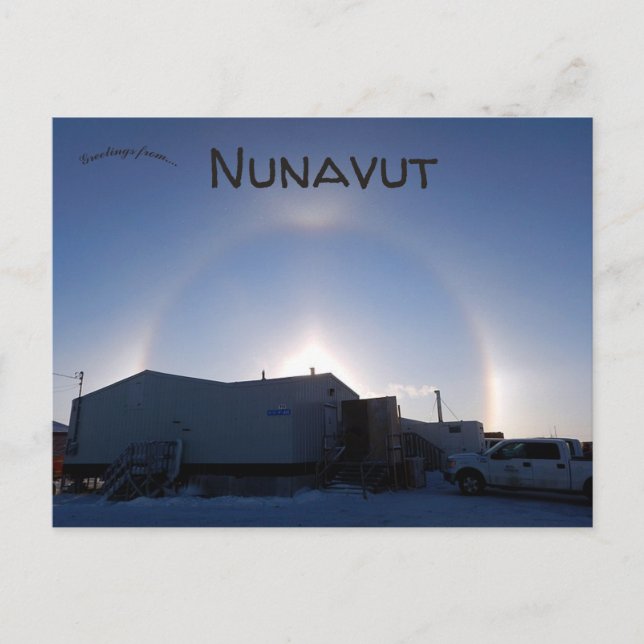Arktiska sunhundar i Anviat Nunavut Kanada Vykort (Framsida)