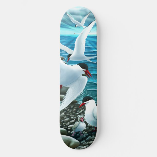 Arktiska tärnor skateboard (Framsida)