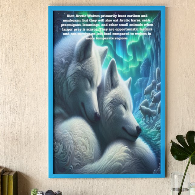 Arktiska Varger Vita Varger Resterande Poster (Skapare uppladdad)