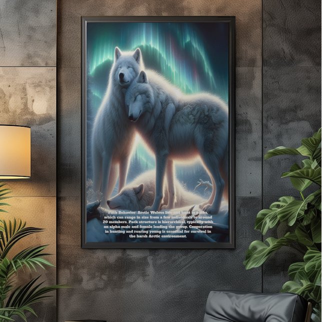 Arktiska vita Varger Guardians Poster (Skapare uppladdad)