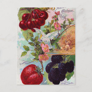 Årlig fruktkatalog 1896 vykort