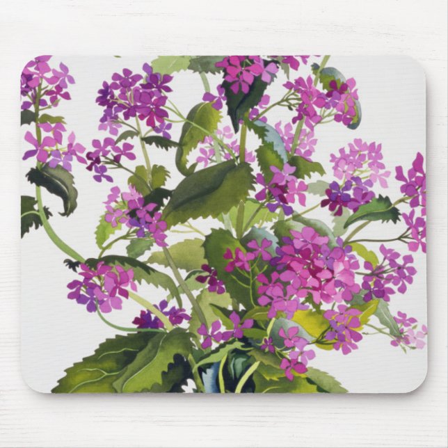 Ärlighet Musmatta (Framsidan)