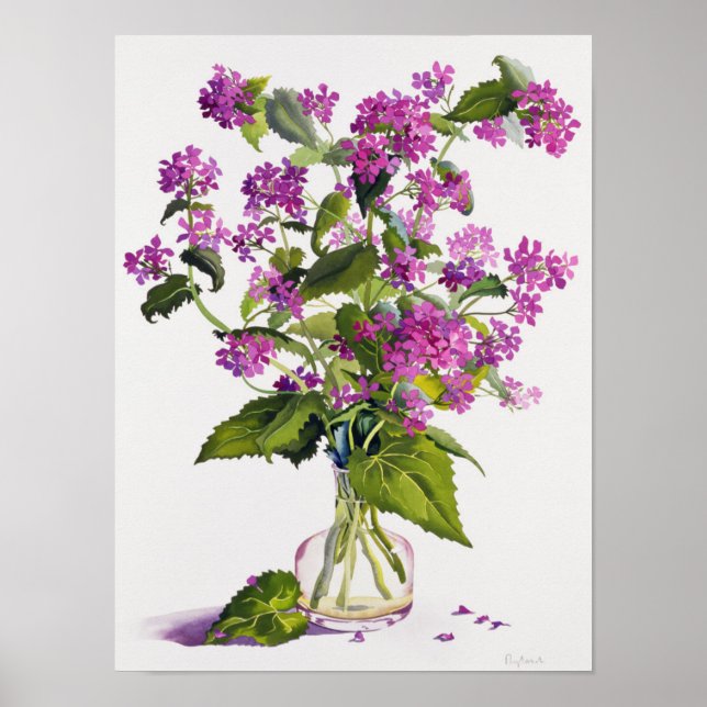 Ärlighet Poster (Framsidan)