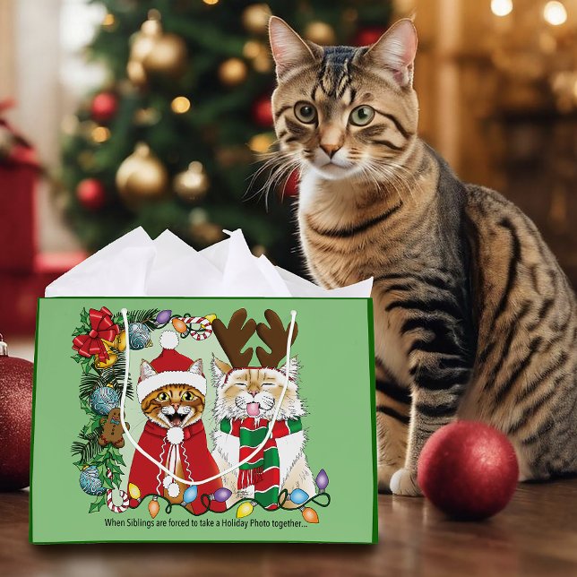 Årligt julfoto för katt (Skapare uppladdad)
