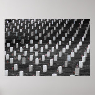 Arlington B&W Färg Flaggor Poster