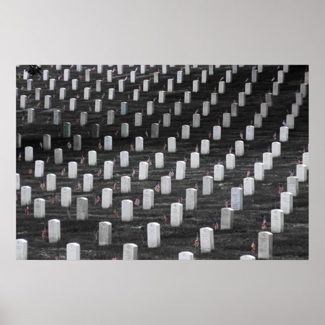 Arlington B&W Färg Flaggor Poster (Framsidan)