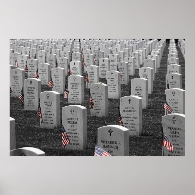 Arlington B&W Flaggor Färg Poster (Framsidan)