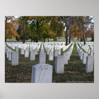 Arlington Cemetery Fall 2013 Headstones Poster