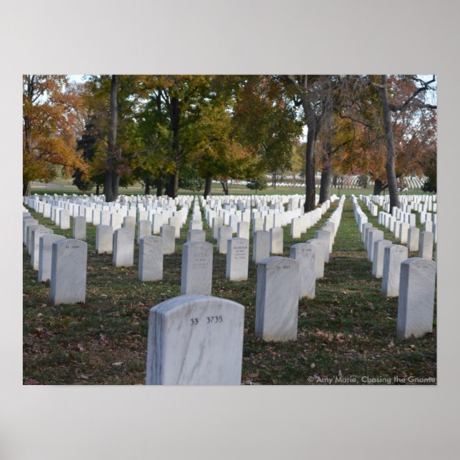 Arlington Cemetery Fall 2013 Headstones Poster (Framsidan)