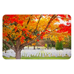 Arlington National Cemetery på hösten Magnet