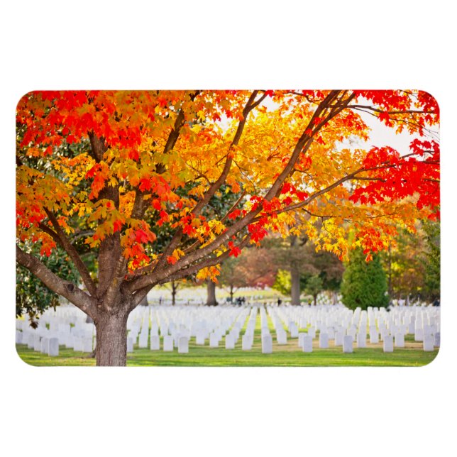 Arlington National Cemetery på hösten Magnet (Horisontell)
