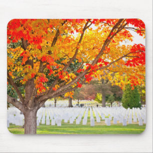 Arlington National Cemetery på hösten Musmatta