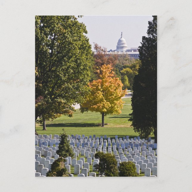 Arlington National Cemetery Postcard Vykort (Framsida)