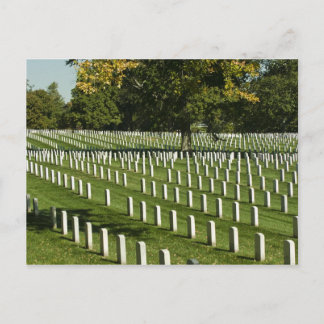 Arlington National Cemetery Postcard Vykort