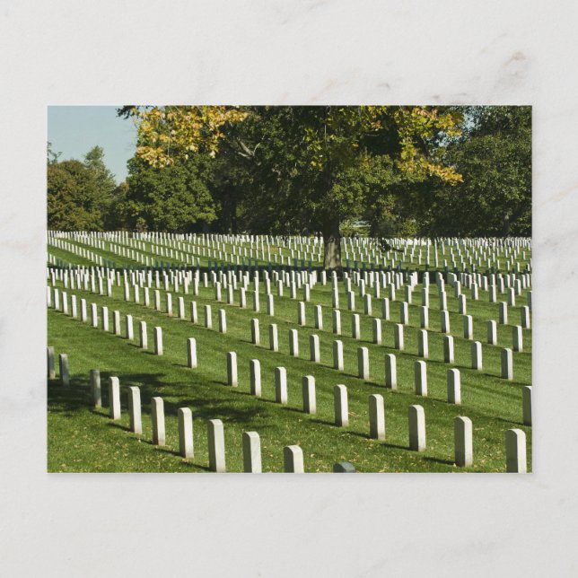 Arlington National Cemetery Postcard Vykort (Framsida)