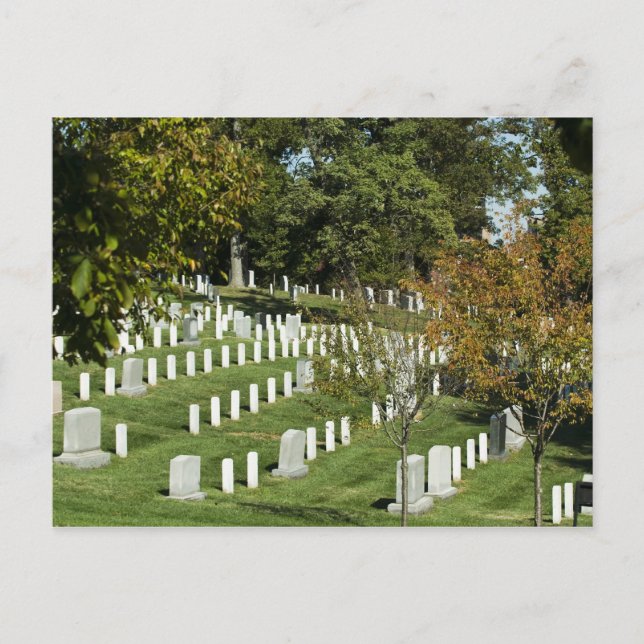 Arlington National Cemetery Postcard Vykort (Framsida)