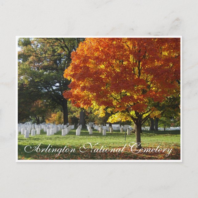 Arlington National Cemetery Vykort (Framsida)