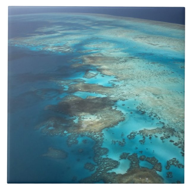 Arlington Reef, Great Barrier Reef Marine Park, Kakelplatta (Framsidan)