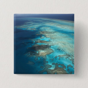 Arlington Reef, Great Barrier Reef Marine Park, Knapp