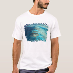 Arlington Reef, Great Barrier Reef Marine Park, Tee
