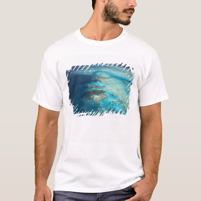 Arlington Reef, Great Barrier Reef Marine Park, Tee (Framsida)