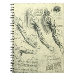 Arm och Shoulder Anatomy by Leonardo da Vinci Anteckningsbok Med Spiral