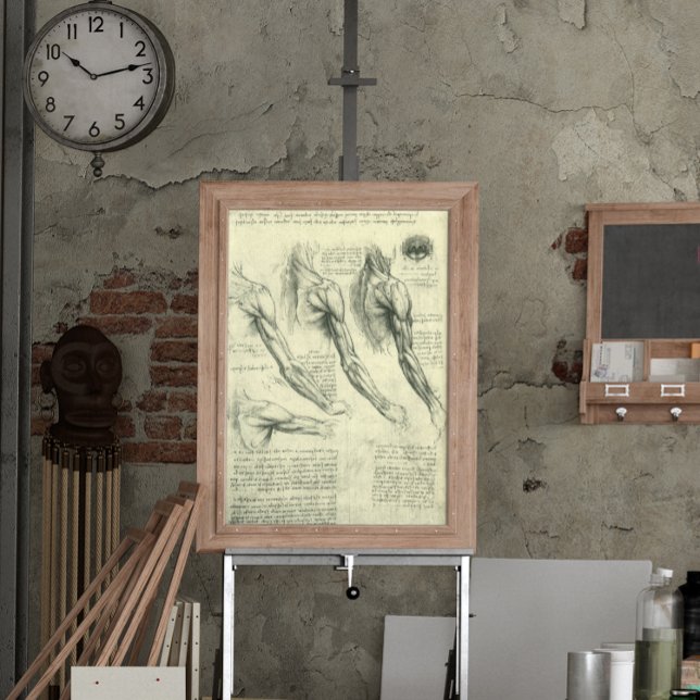 Arm och Shoulder Anatomy by Leonardo da Vinci Poster (Skapare uppladdad)