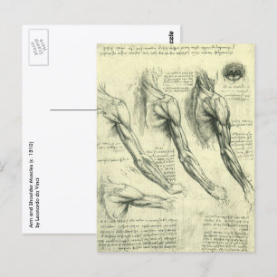Arm och Shoulder Anatomy by Leonardo da Vinci Vykort